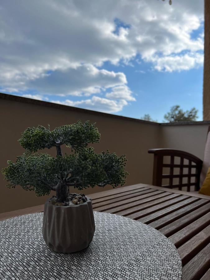 Apartmani Pernjak Mandre Esterno foto