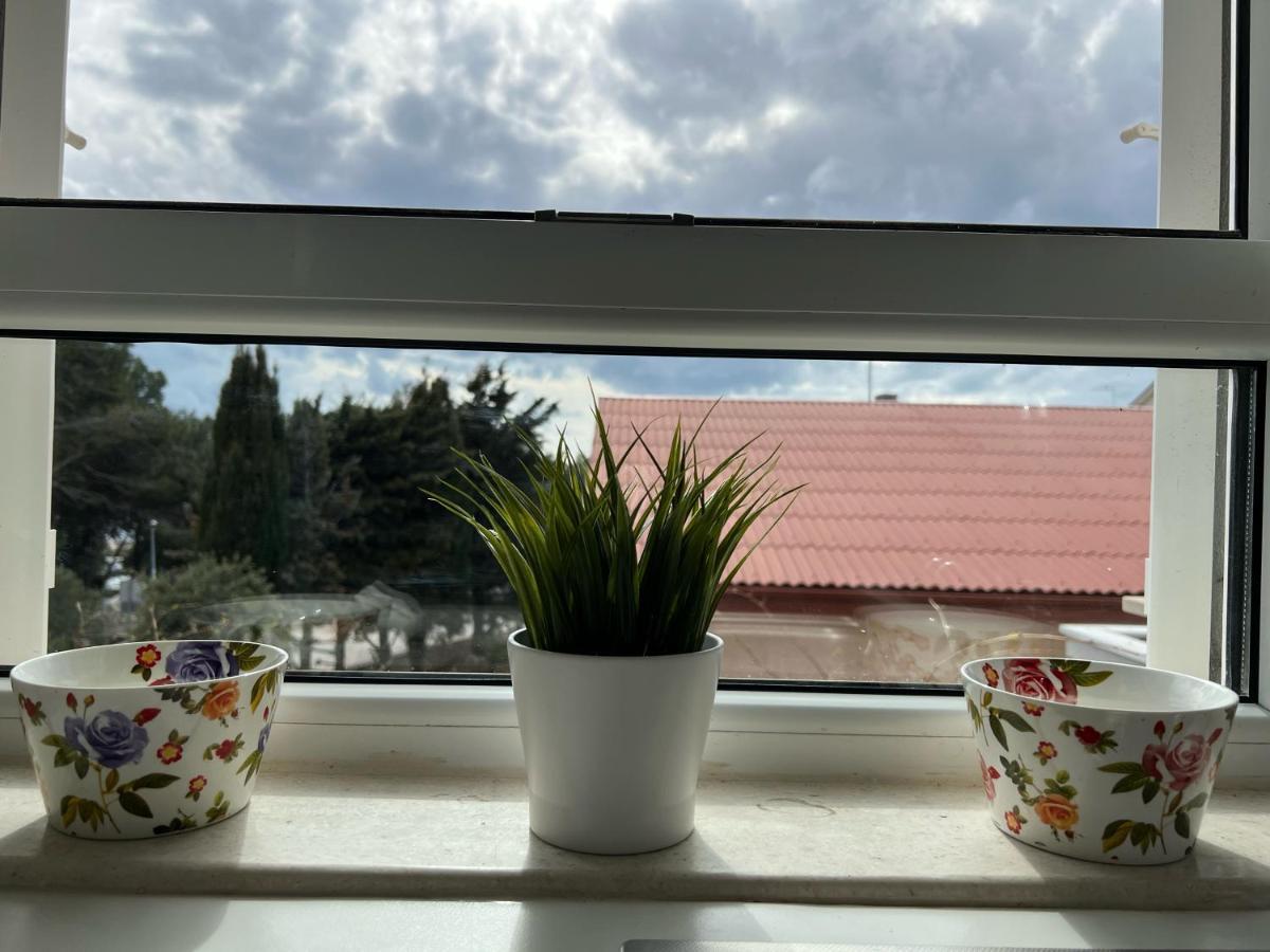Apartmani Pernjak Mandre Esterno foto
